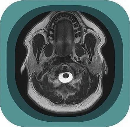 Neck mri anatomy icon